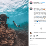 The Great Barrier Reef