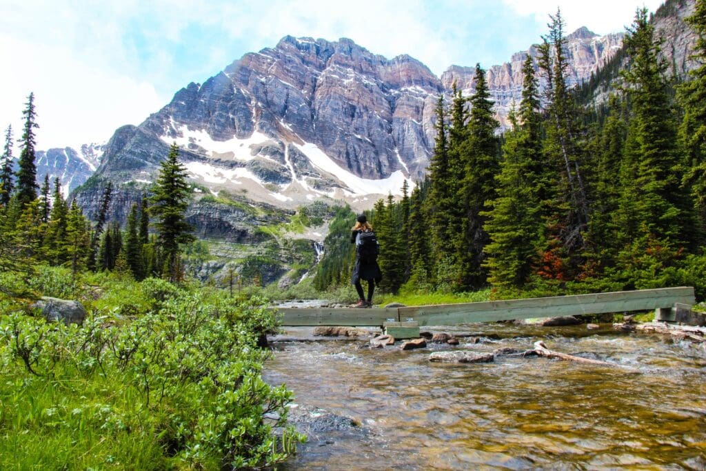 Banff National Park Conservation Project