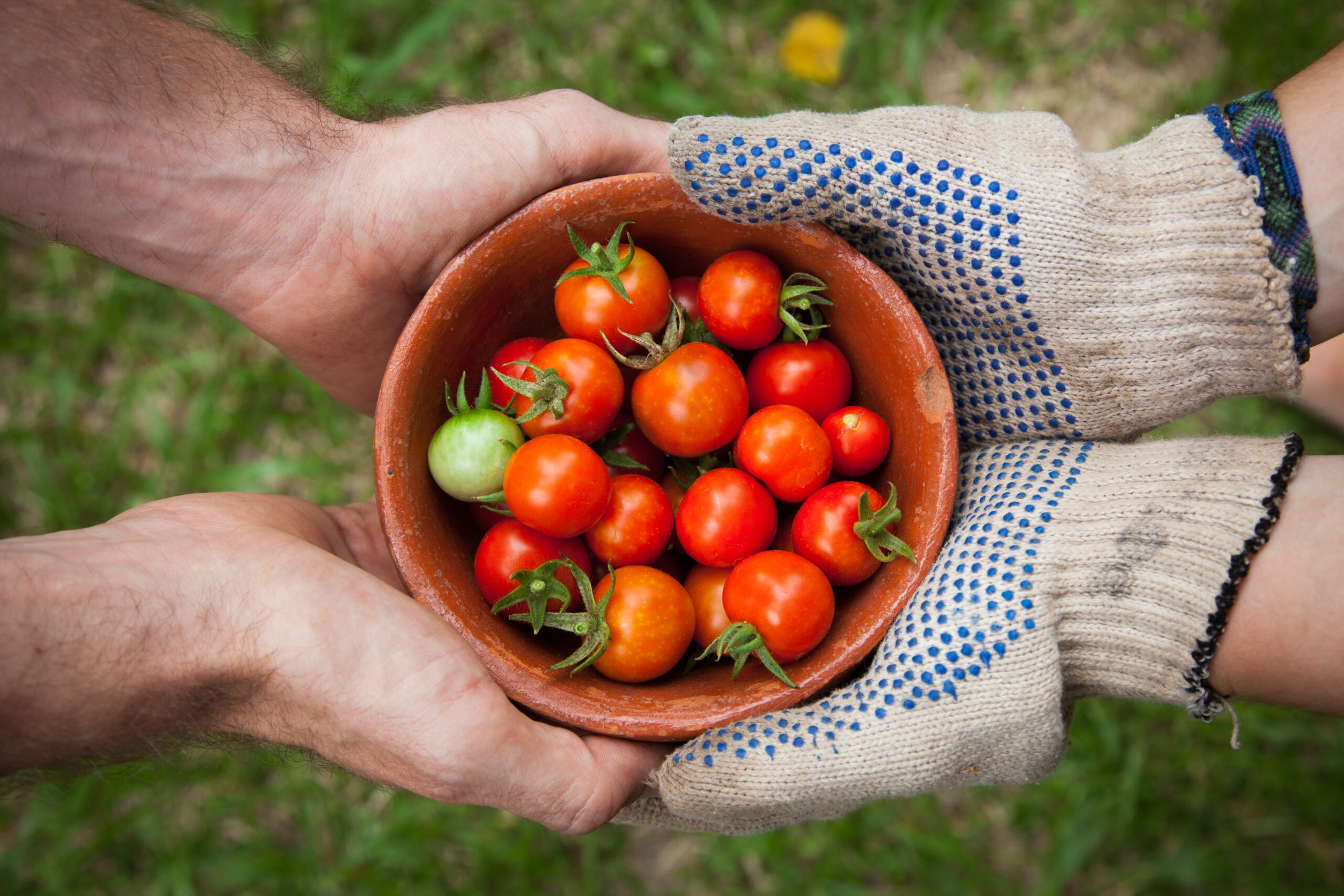 Farm Work Internship in Germany