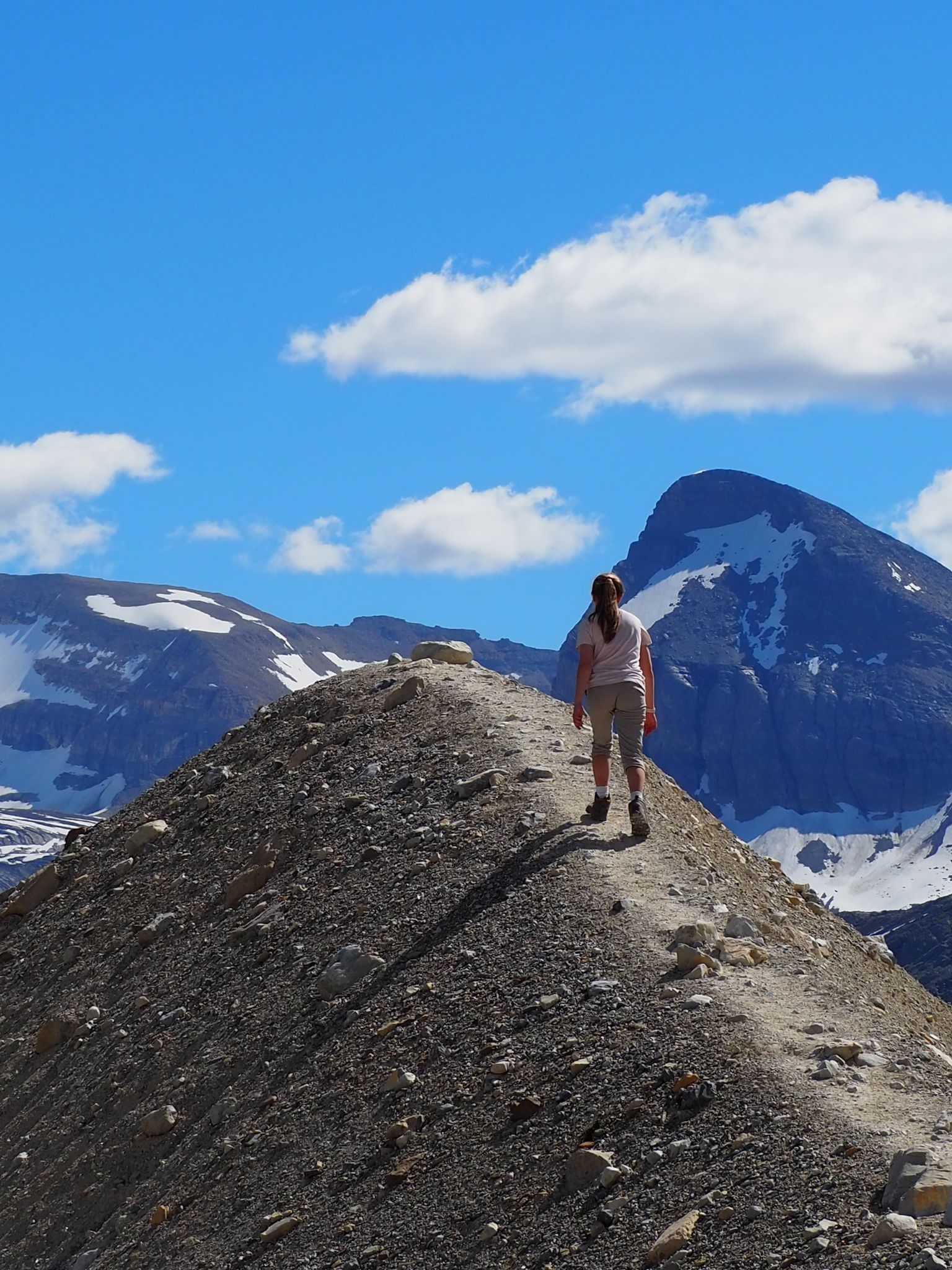 Volunteer with the Lake Louise Conservation Project and gain hands-on experience in conservation efforts while enjoying the stunning scenery of Lake Louise.