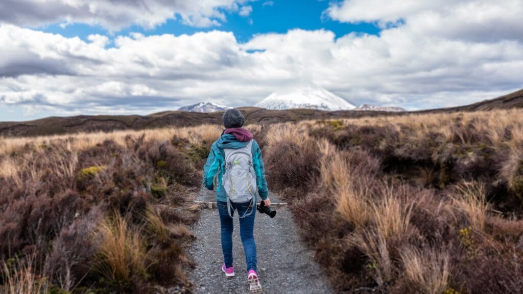 Working holiday in Zealand