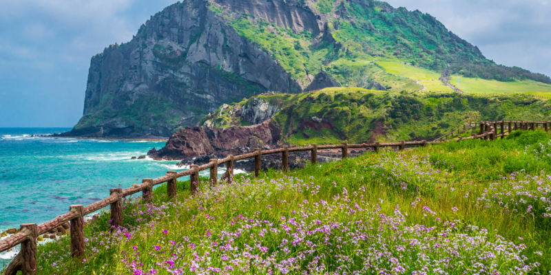 Travel to Jeju Island in South Korea