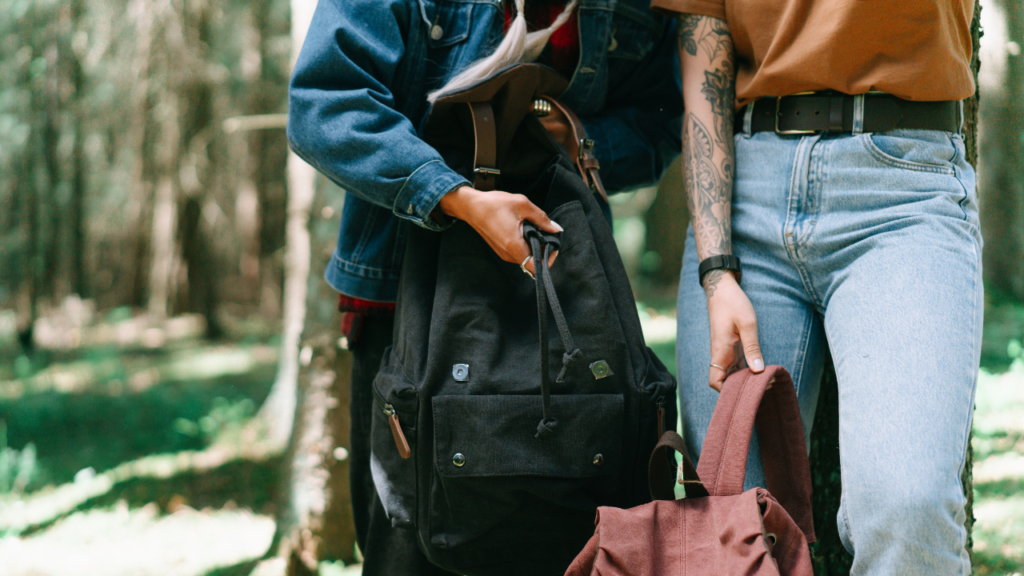 travelers