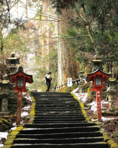 Ancient Stone Pathway in Fukuoka's Serene Forest
