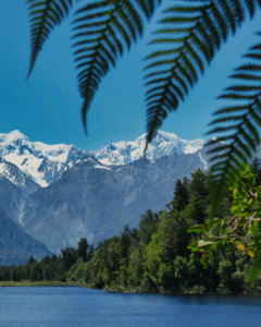 Lake Matheson and the View of Mountains in New Zealand